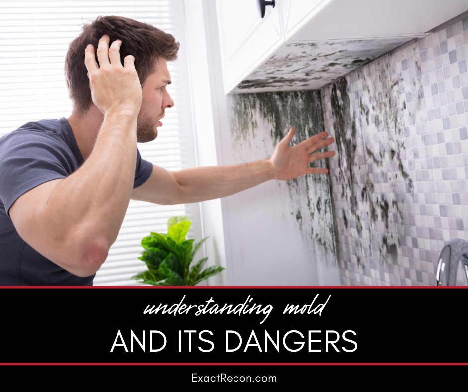 Understanding Mold and Its Dangers