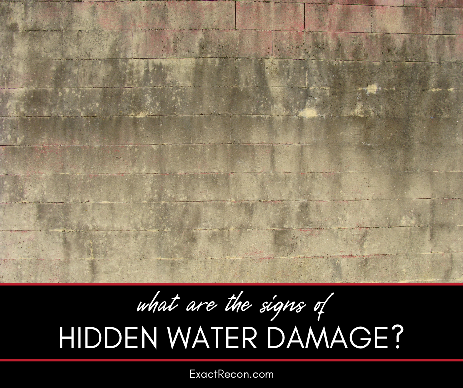 What Are the Signs of Hidden Water Damage