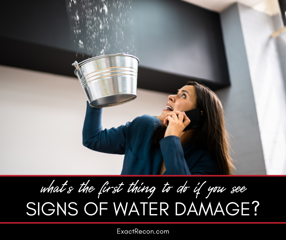 What's the First Thing You Should Do if You Spot Signs of Water Damage in Your Home