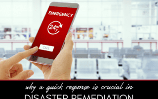 Why a Quick Response is Crucial in Disaster Remediation