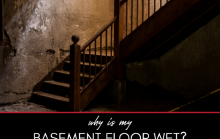 Why is My Basement Floor Wet