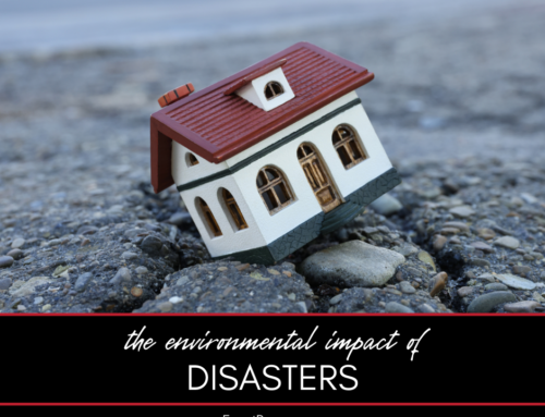 The Environmental Impact of Disasters and How Remediation Helps