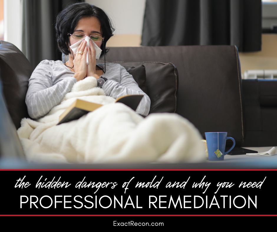 The Hidden Dangers of Mold: Why Professional Remediation Matters