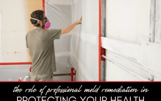 The Role of Professional Mold Remediation in Protecting Your Health