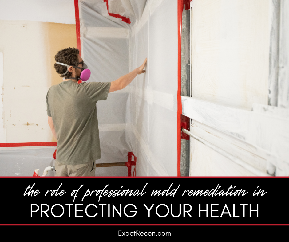 The Role of Professional Mold Remediation in Protecting Your Health