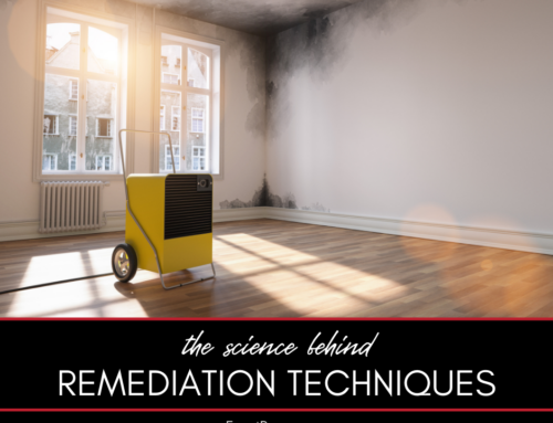 The Science Behind Disaster Remediation: Techniques and Tools We Use