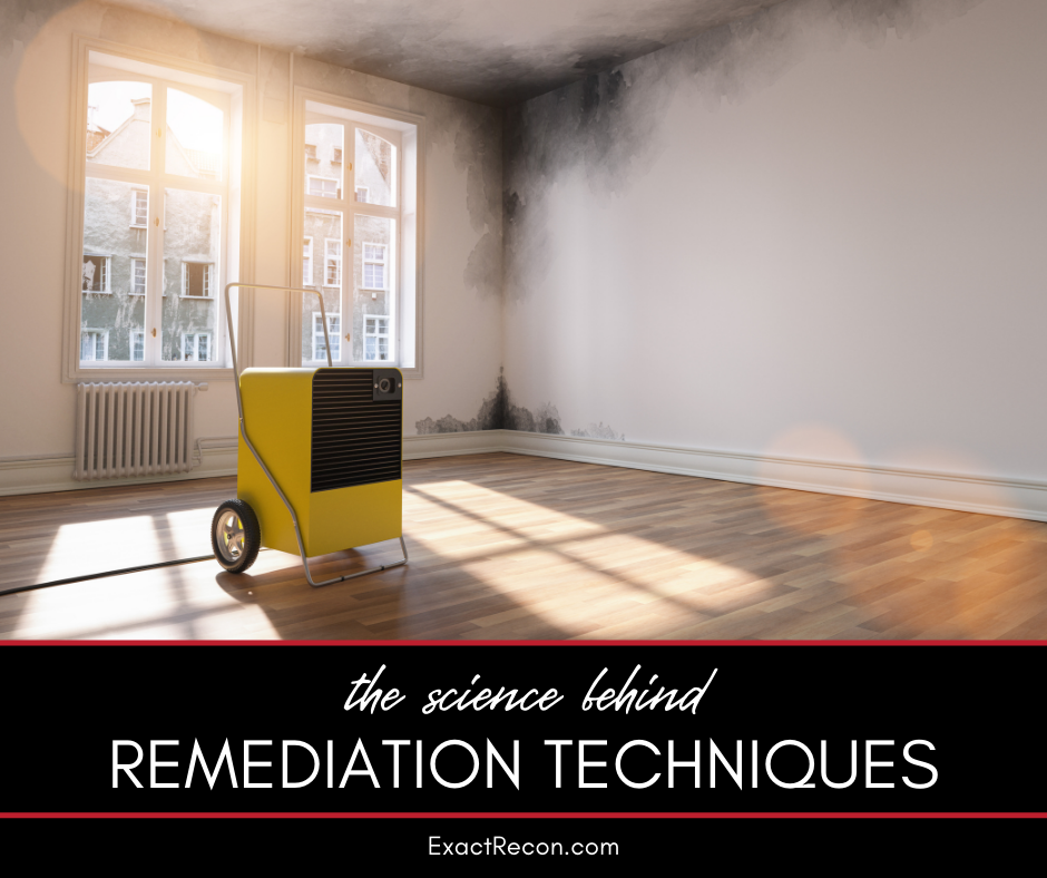 The Science Behind Disaster Remediation: Techniques and Tools We Use
