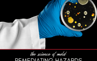 The Science of Mold: Identifying and Eliminating Indoor Hazards