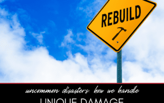 Uncommon Disasters: How We Handle Unique Damage Situations