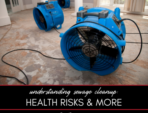 Understanding Sewage Cleanup: Health Risks and Remediation Techniques