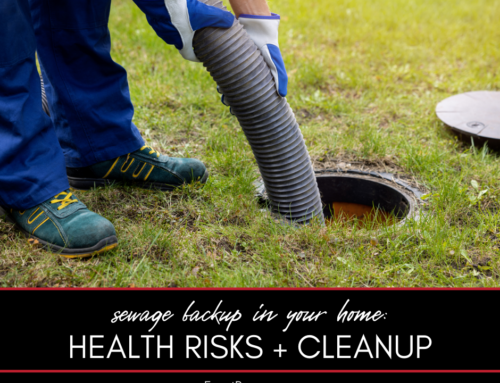 Sewage Backup in Your Home: Health Risks and Cleanup Procedures