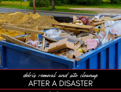 Post-Disaster Debris Removal and Site Cleanup