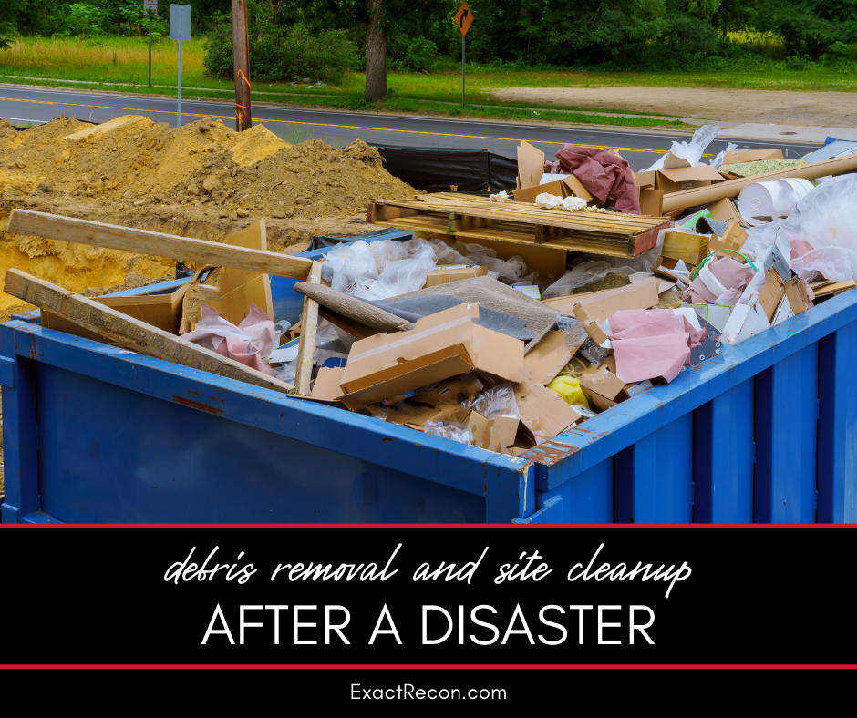 Post-Disaster Debris Removal and Site Cleanup