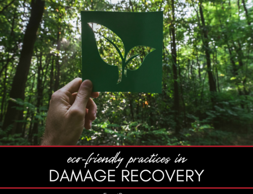 Green Restoration: Eco-Friendly Practices in Damage Recovery