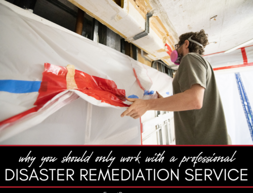 The Benefits of Professional Disaster Remediation Services