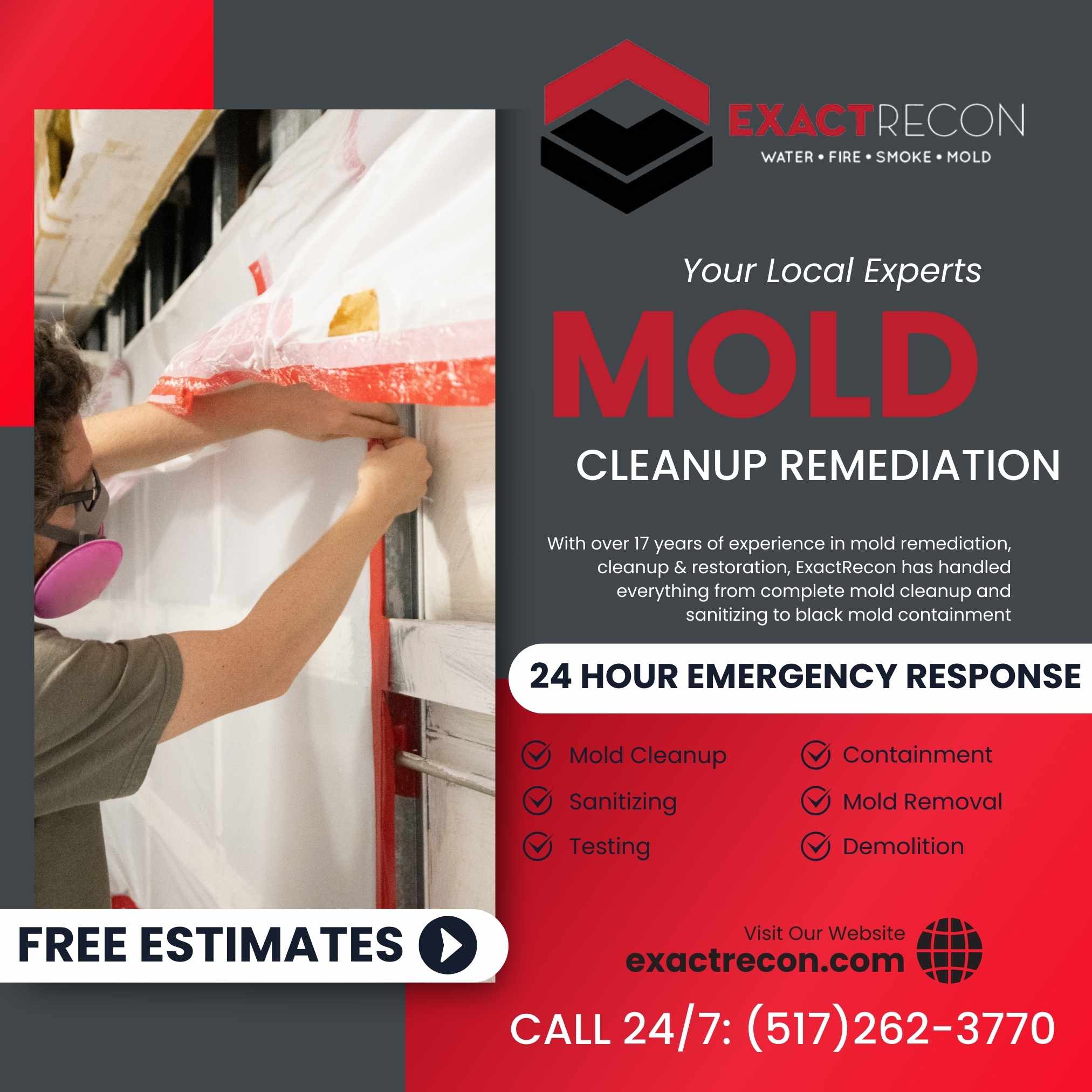 Mold Cleanup Remediation