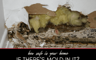 How Safe is Your Home if There's Mold in It?