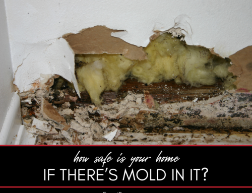 How Safe is Your Home if There’s Mold in It?