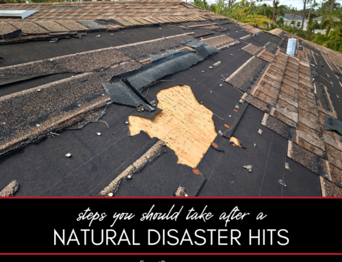 Steps to Take After a Natural Disaster Hits Your Home