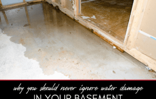 Why You Shouldn’t Ignore Water Damage in Your Basement