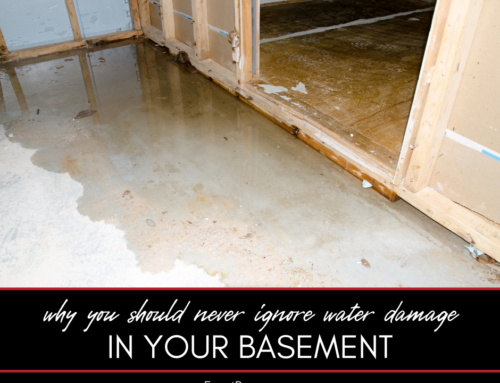 Why You Shouldn’t Ignore Water Damage in Your Basement