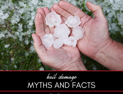 Hail Damage Myths and Facts