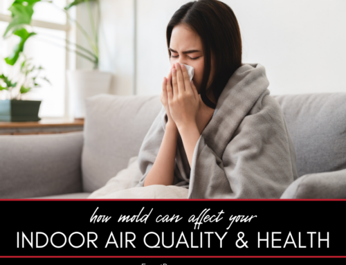 How Mold Can Affect Indoor Air Quality and Your Health