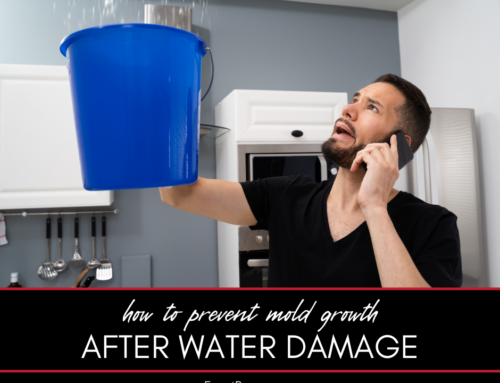 How to Prevent Mold Growth After Water Damage