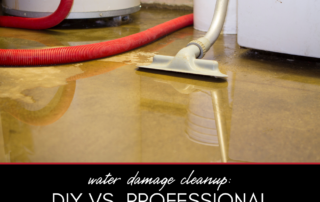 Water Damage Cleanup: DIY vs. Professional Services