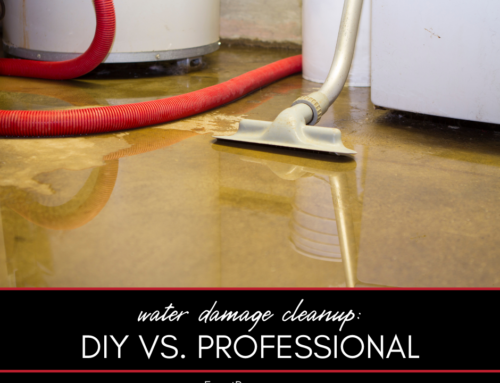 Water Damage Cleanup: DIY vs. Professional Services