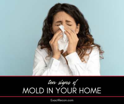 10 Signs of Mold in Your Home That You Shouldn’t Ignore | Exact Recon ...