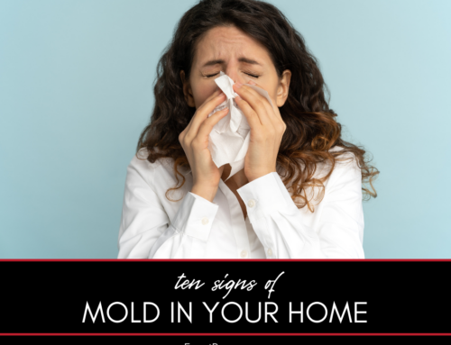 10 Signs of Mold in Your Home That You Shouldn’t Ignore