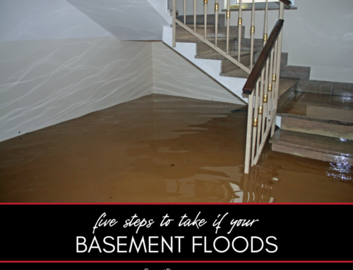 5 Steps to Take When Your Basement Has Flooded