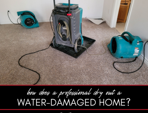 How Does a Professional Dry Out a Water Damaged Home?