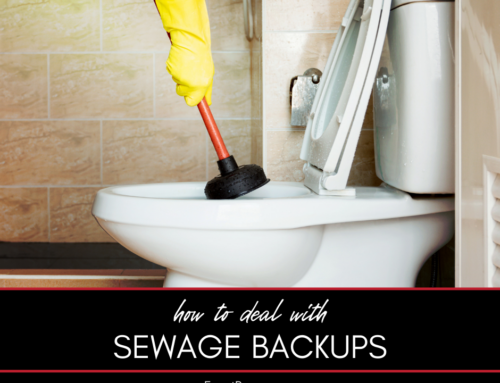 How to Deal With Sewage Backups