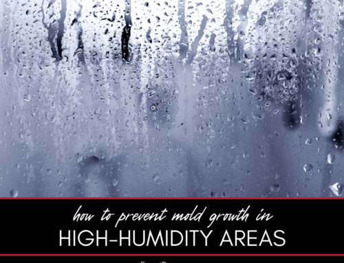 How to Prevent Mold Growth in High-Humidity Areas