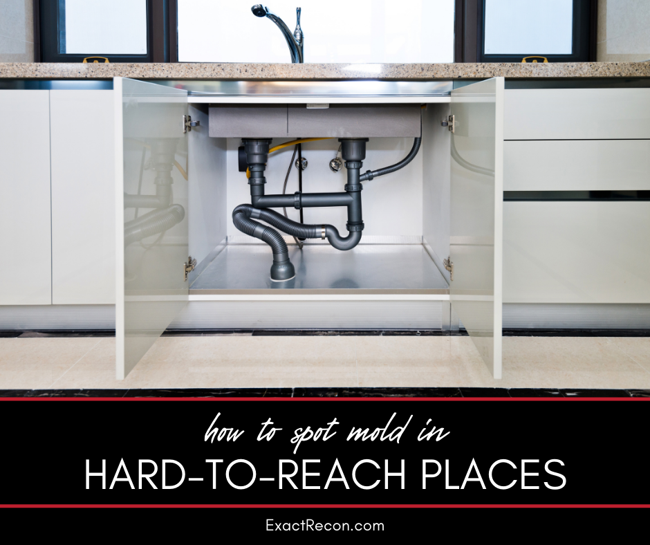 How to Spot Mold in Hard-to-Reach Places