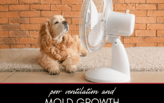 Poor Ventilation and Mold Growth