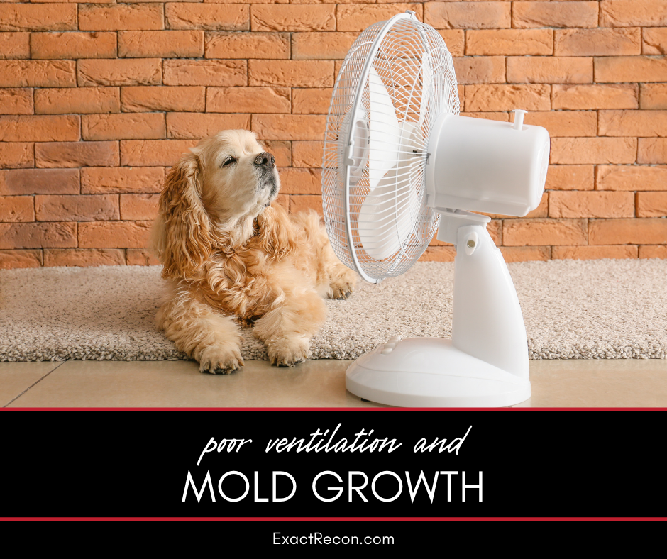 Poor Ventilation and Mold Growth