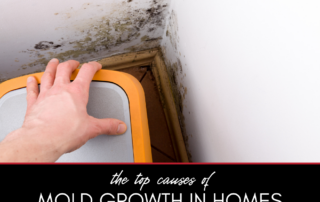 Top Causes of Mold Growth in Homes