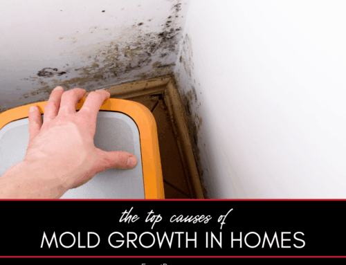 Top Causes of Mold Growth in Homes