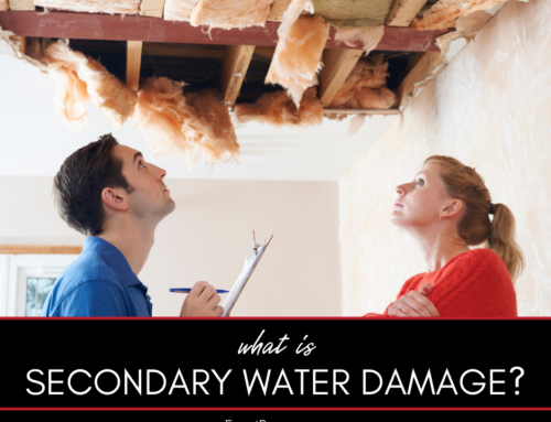 What is Secondary Water Damage?