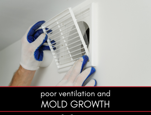 What You Need to Know About Poor Ventilation and Mold Growth