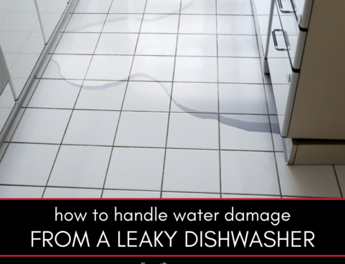 What to Do About Water Damage From a Leaky Dishwasher