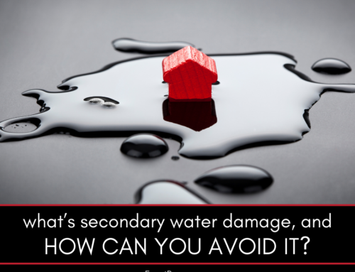 What’s Secondary Water Damage, and How Can You Avoid It?