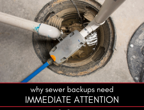 Why Sewer Backups Need Immediate Professional Attention