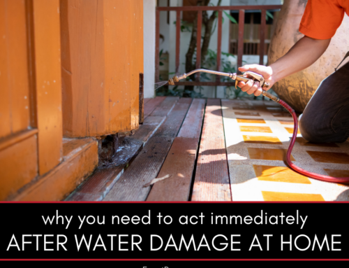 Why You Need to Act Immediately After Water Damage