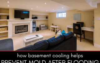 How Basement Cooling Helps Prevent Mold after Flooding