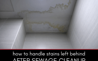 How to Handle Stains Left Behind after Sewage Cleanup