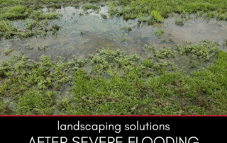 Landscaping Solutions after Severe Flooding
